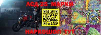 jwh Новодвинск