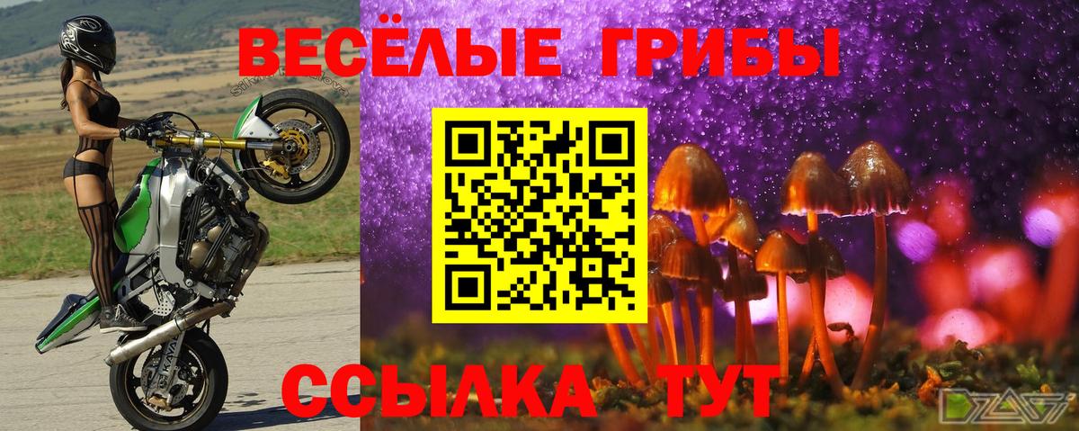 Пыть-Ях  Галлюциногенные грибы GOLDEN TEACHER  наркошоп  Псилоцибиновые грибы мухоморы  Вход с VPN 